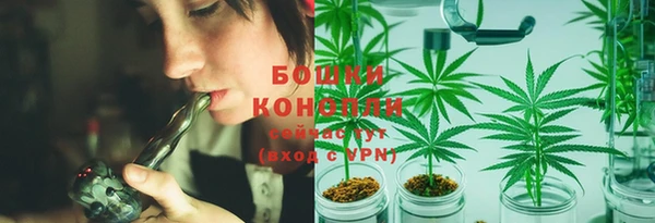 ПСИЛОЦИБИНОВЫЕ ГРИБЫ Аркадак