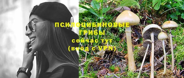 ГАЛЛЮЦИНОГЕННЫЕ ГРИБЫ Армянск