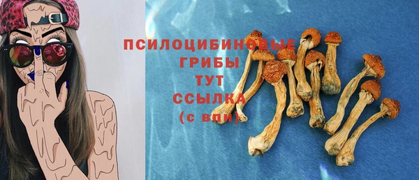 дживик Арсеньев