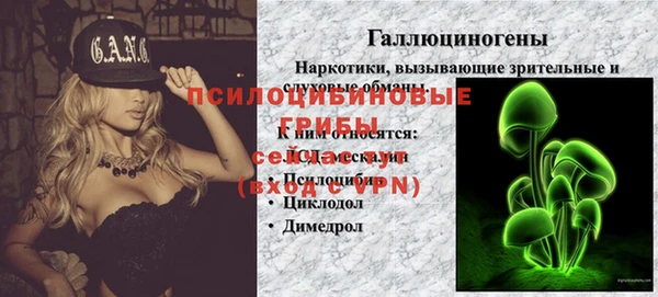 ГАЛЛЮЦИНОГЕННЫЕ ГРИБЫ Армянск