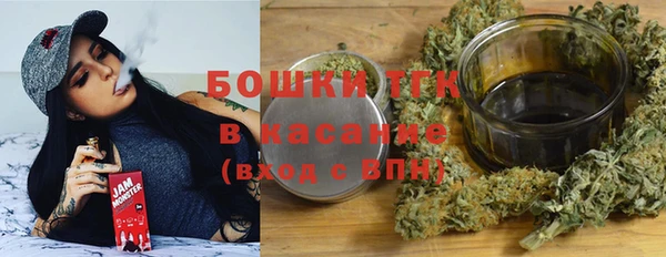 дживик Арсеньев