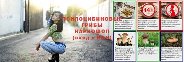 дживик Арсеньев