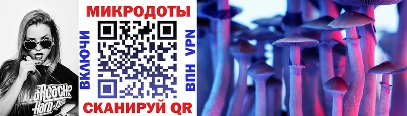 Псилоцибиновые грибы Psilocybine cubensis  Усть-Илимск 